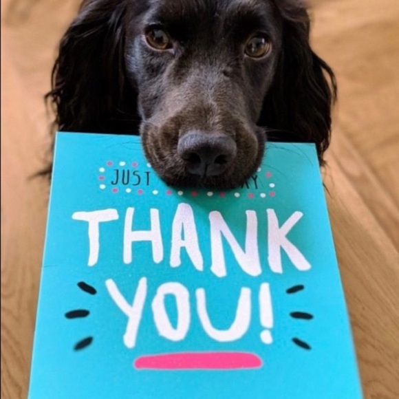 Meet your Posher! Buy 2 or more items get 30% off - Picture 3 of 3